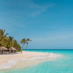 Pálmafák és tengerpart a Maldiv-szigetek